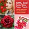25pcs Dried Pressed Rose for Resin Molds, Real Natural Rose Flowers Leaves Kit, Set for Scrapbook Supplies Card Resin Jewelry Soap Candle DIY Crafts